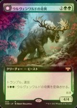 [FOIL] ウルヴェンワルドの奇異/Ulvenwald Oddity (拡張アート版) 【日本語版】 [VOW-緑R]