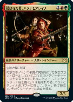 画像1: 結ばれた者、ハラナとアレイナ/Halana and Alena, Partners 【日本語版】 [VOW-金R]