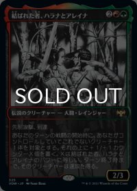 結ばれた者、ハラナとアレイナ/Halana and Alena, Partners (ショーケース・海外産ブースター版) 【日本語版】 [VOW-金R]