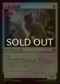 [FOIL] 幸運な野良猫/Charmed Stray 【日本語版】 [WAR-白C]