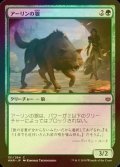 [FOIL] アーリンの狼/Arlinn's Wolf 【日本語版】 [WAR-緑C]