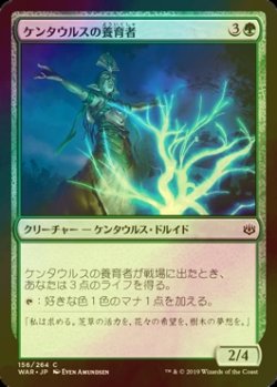 画像1: [FOIL] ケンタウルスの養育者/Centaur Nurturer 【日本語版】 [WAR-緑C]