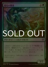 [FOIL] 進化の賢者/Evolution Sage 【日本語版】 [WAR-緑U]