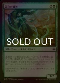 [FOIL] 進化の賢者/Evolution Sage 【日本語版】 [WAR-緑U]