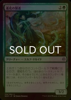 画像1: [FOIL] 進化の賢者/Evolution Sage 【日本語版】 [WAR-緑U]