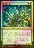 [FOIL] 生命素ハイドラ/Bioessence Hydra 【日本語版】 [WAR-金R]