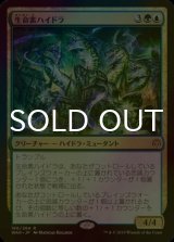 [FOIL] 生命素ハイドラ/Bioessence Hydra 【日本語版】 [WAR-金R]