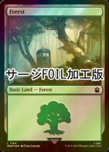 [FOIL] 森/Forest No.1164 (サージ仕様) 【英語版】 [WHO-土地C]
