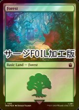 [FOIL] 森/Forest No.1165 (サージ仕様) 【英語版】 [WHO-土地C]