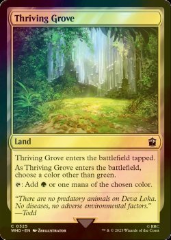 画像1: [FOIL] 興隆する木立/Thriving Grove No.325 【英語版】 [WHO-土地C]