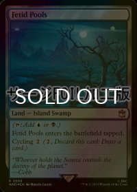 [FOIL] 異臭の池/Fetid Pools No.868 (サージ仕様) 【英語版】 [WHO-土地R]