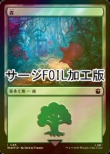 [FOIL] 森/Forest No.1165 (サージ仕様) 【日本語版】 [WHO-土地C]