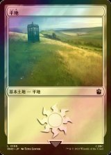 [FOIL] 平地/Plains No.196 【日本語版】 [WHO-土地C]