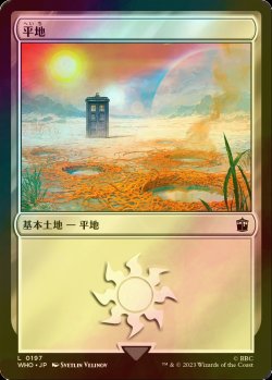 画像1: [FOIL] 平地/Plains No.197 【日本語版】 [WHO-土地C]