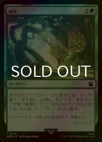 [FOIL] 耕作/Cultivate No.230 【日本語版】 [WHO-緑C]