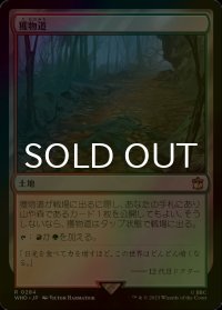[FOIL] 獲物道/Game Trail No.284 【日本語版】 [WHO-土地R]