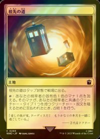 [FOIL] 祖先の道/Path of Ancestry No.293 【日本語版】 [WHO-土地C]