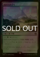 [FOIL] まばらな木立ち/Scattered Groves No.301 【日本語版】 [WHO-土地R]
