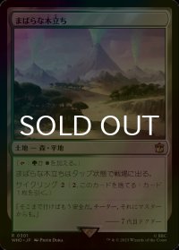 [FOIL] まばらな木立ち/Scattered Groves No.301 【日本語版】 [WHO-土地R]