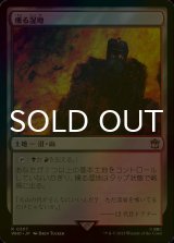 [FOIL] 燻る湿地/Smoldering Marsh No.307 【日本語版】 [WHO-土地R]