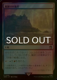 [FOIL] 嵐削りの海岸/Stormcarved Coast No.308 【日本語版】 [WHO-土地R]