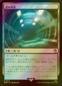 [FOIL] 窪み渓谷/Sunken Hollow No.312 【日本語版】 [WHO-土地R]