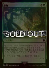 [FOIL] 耕作/Cultivate No.821 (サージ仕様) 【日本語版】 [WHO-緑C]