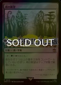 [FOIL] 梢の眺望/Canopy Vista No.849 (サージ仕様) 【日本語版】 [WHO-土地R]