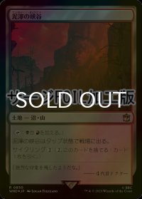 [FOIL] 泥濘の峡谷/Canyon Slough No.850 (サージ仕様) 【日本語版】 [WHO-土地R]