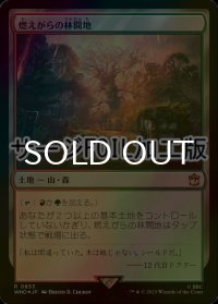 [FOIL] 燃えがらの林間地/Cinder Glade No.853 (サージ仕様) 【日本語版】 [WHO-土地R]