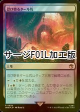 [FOIL] 忍び寄るタール坑/Creeping Tar Pit No.858 (サージ仕様) 【日本語版】 [WHO-土地R]