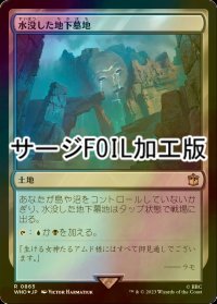 [FOIL] 水没した地下墓地/Drowned Catacomb No.865 (サージ仕様) 【日本語版】 [WHO-土地R]