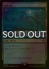 [FOIL] 異臭の池/Fetid Pools No.868 (サージ仕様) 【日本語版】 [WHO-土地R]