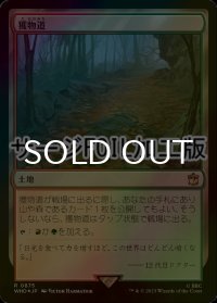 [FOIL] 獲物道/Game Trail No.875 (サージ仕様) 【日本語版】 [WHO-土地R]