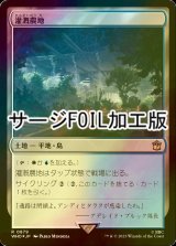 [FOIL] 灌漑農地/Irrigated Farmland No.879 (サージ仕様) 【日本語版】 [WHO-土地R]