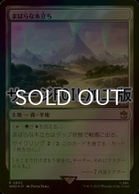 [FOIL] まばらな木立ち/Scattered Groves No.892 (サージ仕様) 【日本語版】 [WHO-土地R]