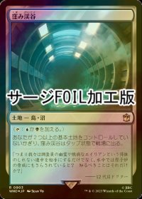 [FOIL] 窪み渓谷/Sunken Hollow No.903 (サージ仕様) 【日本語版】 [WHO-土地R]