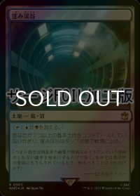 [FOIL] 窪み渓谷/Sunken Hollow No.903 (サージ仕様) 【日本語版】 [WHO-土地R]