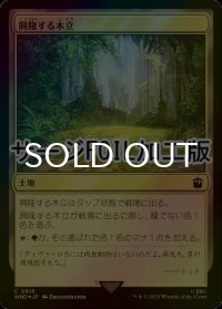 [FOIL] 興隆する木立/Thriving Grove No.916 (サージ仕様) 【日本語版】 [WHO-土地C]
