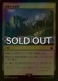 [FOIL] 興隆する荒野/Thriving Heath No.917 (サージ仕様) 【日本語版】 [WHO-土地C]