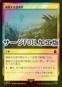 [FOIL] 興隆する湿地帯/Thriving Moor No.919 (サージ仕様) 【日本語版】 [WHO-土地C]