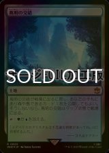 [FOIL] 蔦明の交錯/Vineglimmer Snarl No.920 (サージ仕様) 【日本語版】 [WHO-土地R]