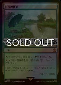[FOIL] 冠水樹林帯/Waterlogged Grove No.922 (サージ仕様) 【日本語版】 [WHO-土地R]