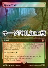 [FOIL] 獲物道/Game Trail No.1091 (拡張アート版・サージ仕様) 【英語版】 [WHO-土地R]