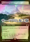 [FOIL] まばらな木立ち/Scattered Groves No.1103 (拡張アート版・サージ仕様) 【英語版】 [WHO-土地R]