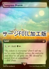 [FOIL] サングラスの大草原/Sungrass Prairie No.1112 (拡張アート版・サージ仕様) 【英語版】 [WHO-土地R]