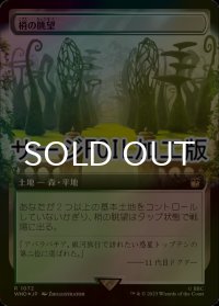 [FOIL] 梢の眺望/Canopy Vista No.1072 (拡張アート版・サージ仕様) 【日本語版】 [WHO-土地R]