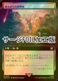 [FOIL] 燃えがらの林間地/Cinder Glade No.1076 (拡張アート版・サージ仕様) 【日本語版】 [WHO-土地R]