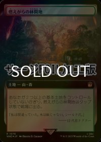 [FOIL] 燃えがらの林間地/Cinder Glade No.1076 (拡張アート版・サージ仕様) 【日本語版】 [WHO-土地R]