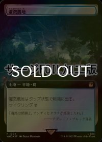 [FOIL] 灌漑農地/Irrigated Farmland No.1095 (拡張アート版・サージ仕様) 【日本語版】 [WHO-土地R]